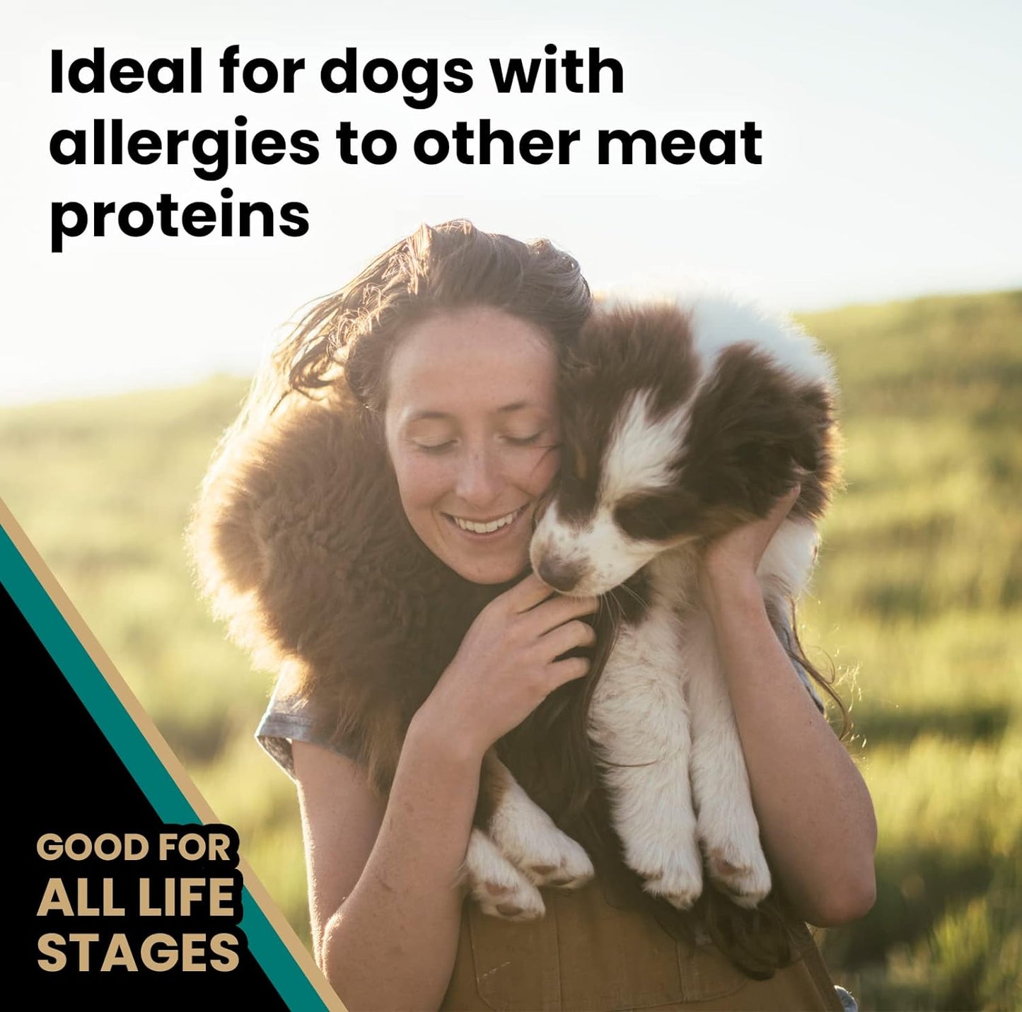 VICTOR Super Premium Dog Food – Select Ocean Fish Formula with Salmon – Omega-3 and Omega-6 Enriched Gluten-Free Dry Kibble for All Normally Active Dogs of All Life Stages, 15lbs