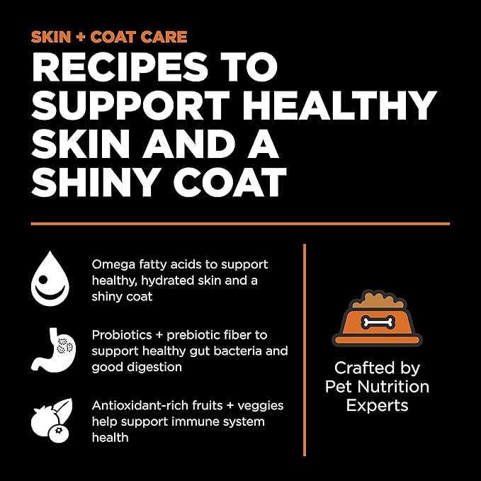 Go! Solutions Skin + Coat Care Salmon Dry Dog Food with Grains, Chicken-Free, Healthy Kibble with Omega-3s & 6s for Soft, Shiny Fur, for Puppies, Adults, & Seniors, 3.5 lb Bag