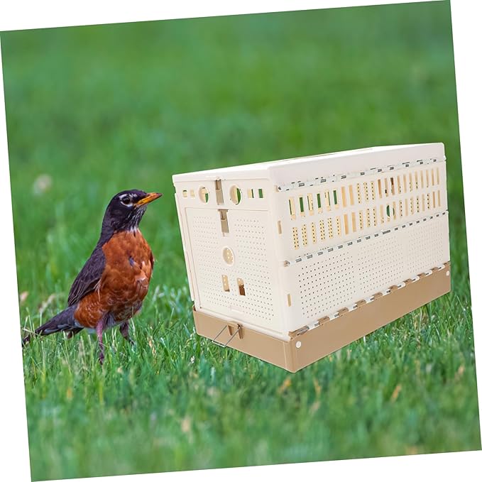 KESYOO Foldable Abs Pigeon Cage Breathable Private Resting Space for Racing Pigeons Portable and Easy to Store Pet Accessory for Domestication and Release