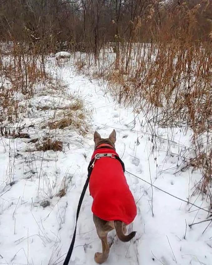 Gooby - Stretch Fleece Vest, Pullover Fleece Vest Jacket Sweater for Dogs, Red, 5X-Large