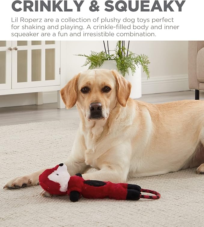 Charming Pet Lil Roperz Fox Durable Plush and Rope Tug Dog Toy