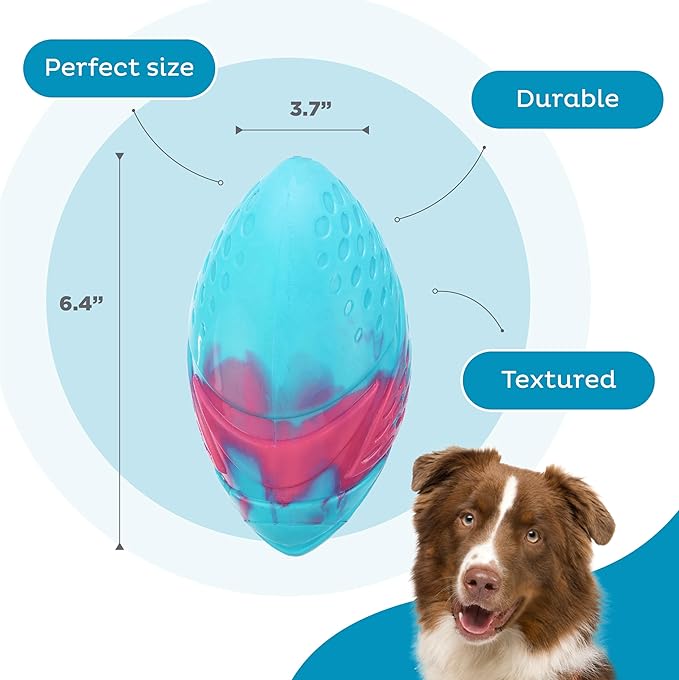 Outward Hound Grunt N' Punt Football Dog Toy - Throwing, Fetching Fun (Pack of 2)