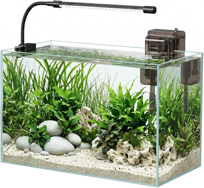 Glass Fish Tank Kit, 5 Gallon Betta Fish Tank Aquarium Starter Kit with Filter, Lights, Lid, for Betta, Goldfish, Small Fish or shrimg，Clear
