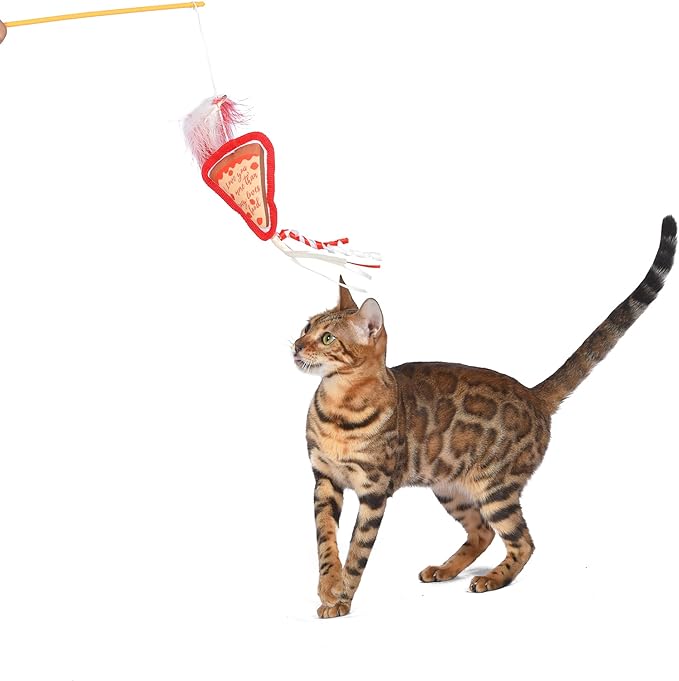 Friends The TV Show Cat Toy Joey Loves Pizza Catnip Wand, Catnip Inside | Friends for Pets | Interactive Toy for Cats, Dancing Teaser with Ribbons | Cat Exercise Toy with Feathers and Catnip