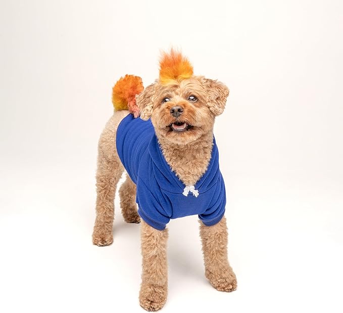 Happy Camping Dog Hoodie | Fleece Lined |Leash Hole| Summer | Outdoors | Travel | Hike|Royal Blue, Small 278