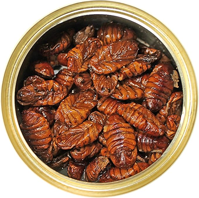 Canned Silkworms (1.2 oz.) - Healthy High Protein Insect Treat - Hedgehogs, Sugar Gliders, Reptiles, Wild Birds, Chickens, Lizards, Bearded Dragons, Skunks, Opossums, Fish, Amphibians, Turtles