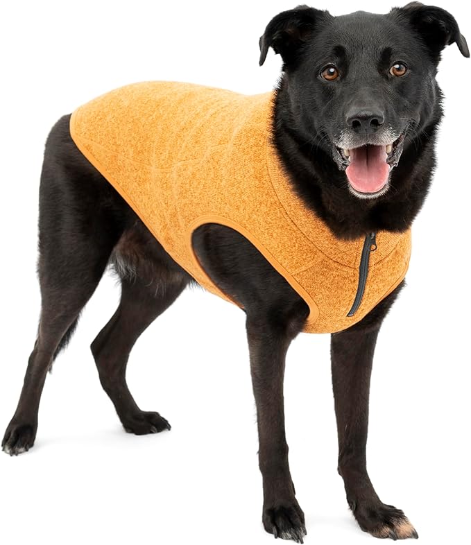 Kurgo Core Dog Sweater, Knit Dog Sweater With Fleece Lining, Cold Weather Pet Jacket, Zipper Opening for Harness, Adjustable Neck, Year-Round Sweater for Small Dogs (Green, X-Small)