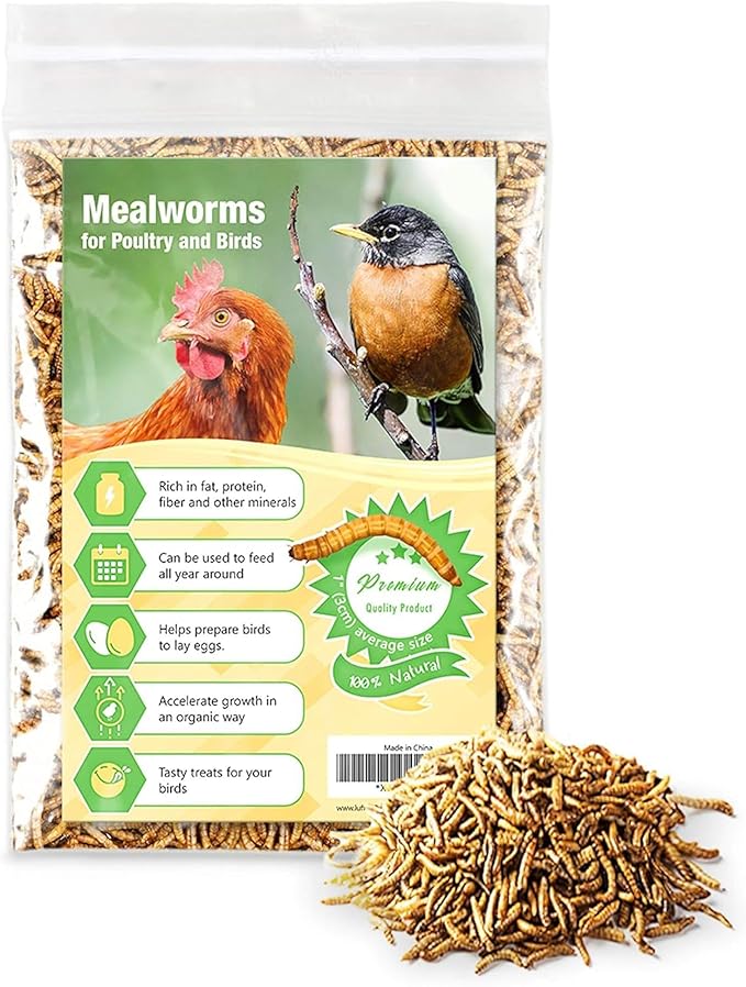 JOR High-Protein Mealworms for Poultry and Birds, Favorite Treat of Hedgehogs, Nutritionally Packed for Squirrels and Frogs, Lizards, Snakes & Fish, 200gram (7Oz)