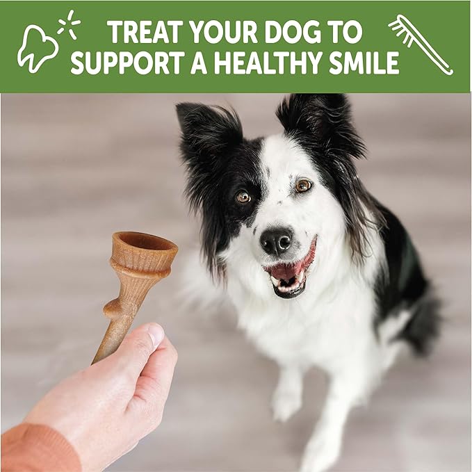 Wellness WHIMZEES Antler Occupy Dog Dental Treat, Chews, Freshens Breath, Medium Size, 12.7 oz Bag, 12 Count