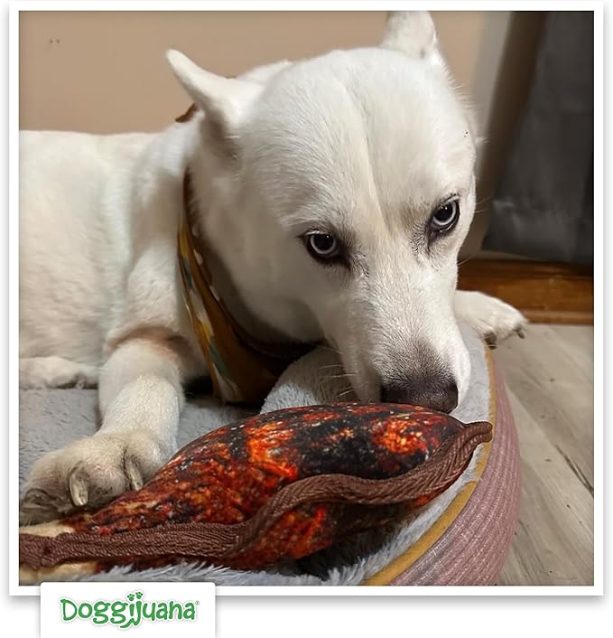 Doggijuana Doggi Duo Refillable Juananip Toy Bundle | Tomahawk & Juananip | Funny Dog Toy Plush with Catnip and Refill | Interactive Chew for Play