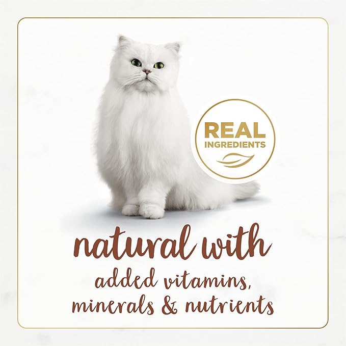 Purina Fancy Feast Wet Cat Food Natural Gourmet Naturals Beef Recipe in Wet Cat Food Gravy - (Pack of 12) 3 oz. Cans