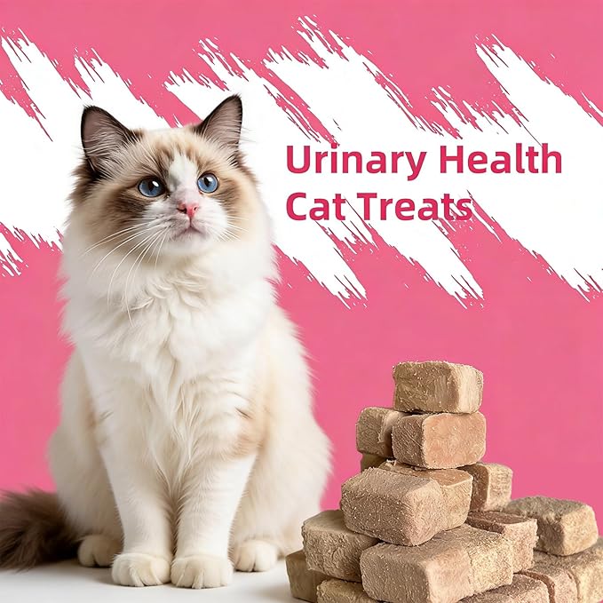Cat Urinary Treats for Bladder Health, Chicken Flavor Grain-Free Soft Snacks, High-Protein Cat Training Rewards for Indoor Cats, Freeze-Dried Snacks 60g/2.11oz