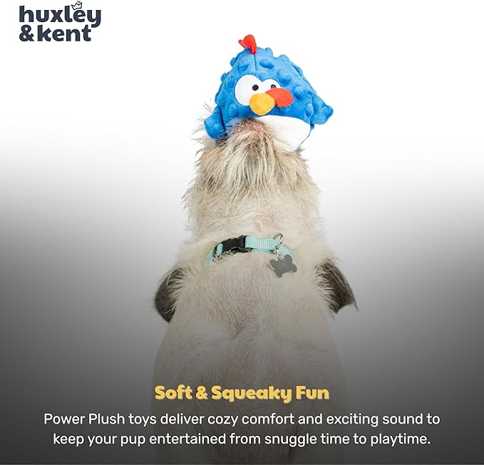 Huxley & Kent Funny Dog Toy w/Squeaker – Power Plush Squeaky Dog Toys for Small Dogs – Durable Small Stuffed Animal for Indoor Play & Fetch - Tiny Tuff Chicken Gordon Blue