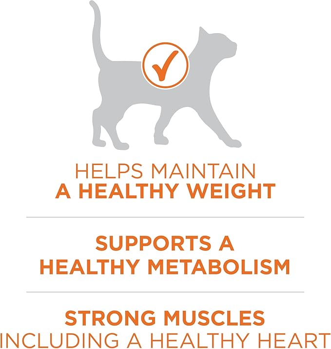 Purina ONE High Protein, Healthy Weight Plus Ideal With Chicken Dry Cat Food Formula - 22 lb. (Pack of 1)