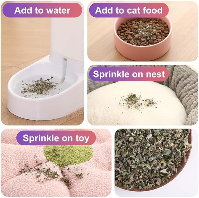 100% Natural Catnip and Pure Catnip for Your Furry Friend Taste Funny Cat Toy New Cat Toy Interactive Cat Toys Pet Supplies