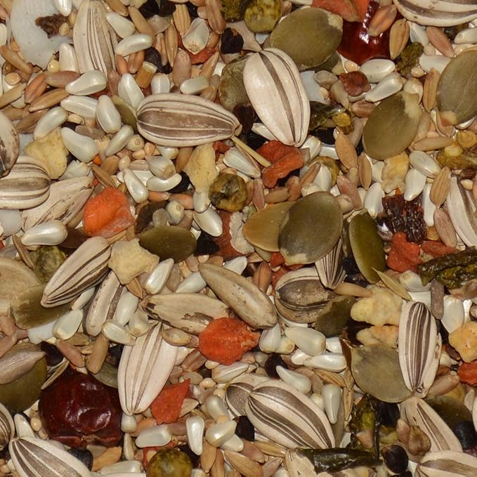 Volkman Avian Science Super Eclectus Bird Food 4lb
