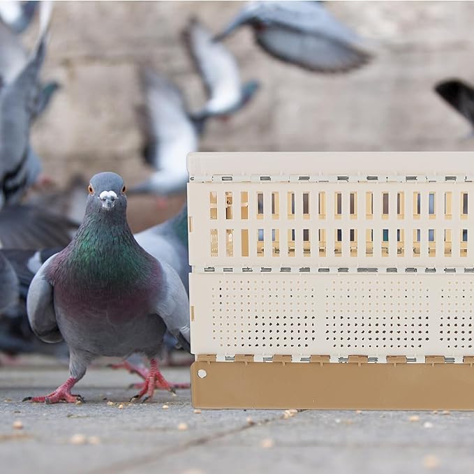 Mobestech Foldable Plastic Pigeon Cage Compact Nest Box for Training and Release Easy Assembly and Space-Saving Pet Accessory for Pigeons Rabbits Kittens and Puppies