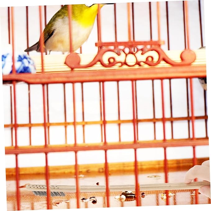 2pcs Set Birdcage Brush Rabbit Parrot Poop Tool Pet Birds Cage Supply Parrot Bird Cage Cleaning Brush Cages Feeder Parrot Cage Accessory Pigeon Stainless Steel