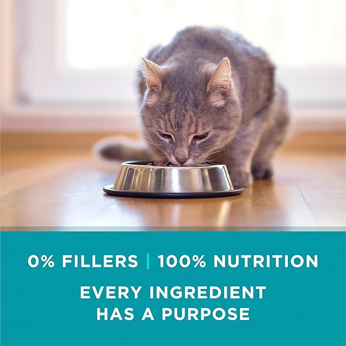 Purina ONE Natural, High Protein Cat Food, Chicken and Salmon Recipe in Sauce - (Pack of 24) 3 oz. Pull-Top Cans