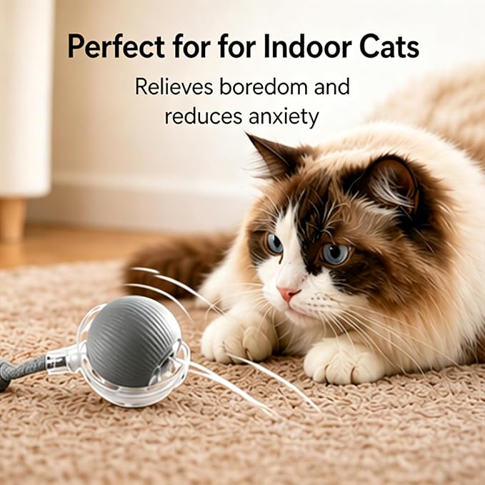 Cat Ball Toy,New Interactive Rolling Cats Dog Toy Balls 360° Smart Automatic Rolling Pet Ball, Fast Moving Toy for Dog,Interactive Toys for Cats (Grey)