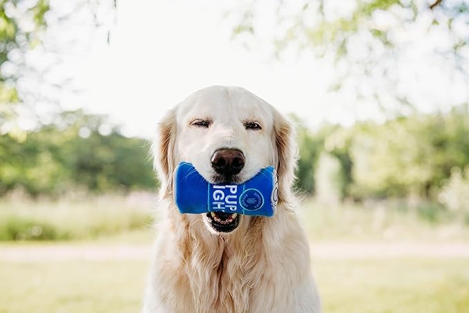 ZippyPaws Squeakie Can - Pup Light, Funny Alcohol Dog Toys for Small & Medium Dogs, Beer Can Puppy Toys for Dog Birthday