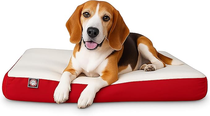 Majestic Pet 34x24x3 Inch Red Orthopedic Memory Foam Rectangle Dog Bed – Medium Size Crate Dog Bed for Dogs with Joint Pain, Arthritis – Durable Pet Mattress with Egg Crate Foam, Washable Cover
