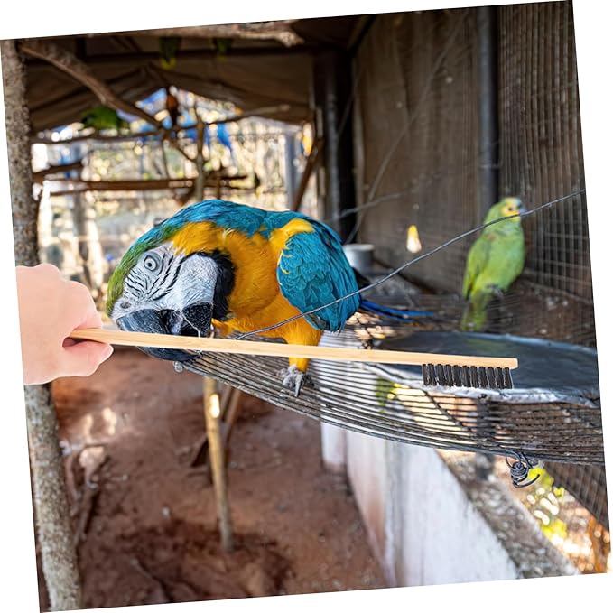2Pcs Bird Cage Cleaning Brush Set Versatile Tool for Efficient Bird Droppings Removal Small Animal Cage Maintenance Durable Construction