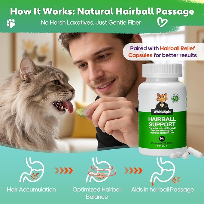 3.53oz Cat Grass Treats for Indoor Cats Freeze-Dried Cat Grass Teething Treats for Hairball Control, Gut Health & Dental Care Natural Chicken Kitten Crunchy Training Snacks