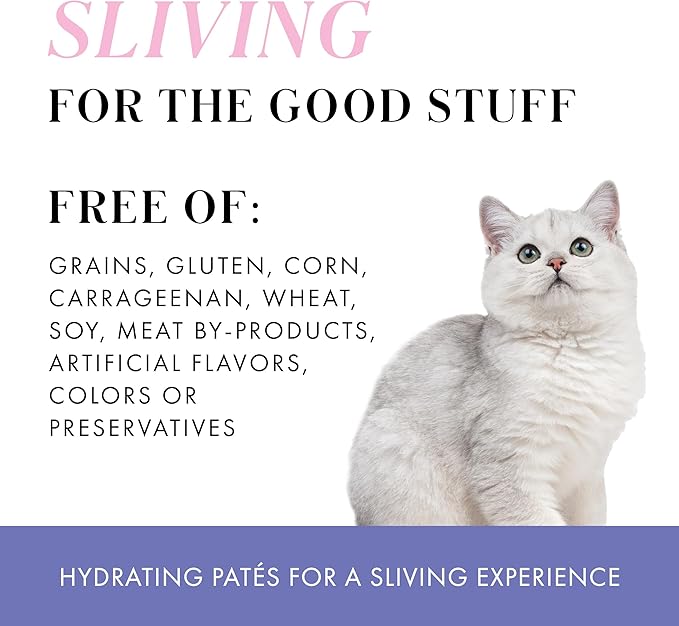 Weruva Paris Hilton Pamper Like Paris Natural Grain Free Wet Cat Food, Chicken and Salmon Paté, 2.47oz Can (Pack of 12)