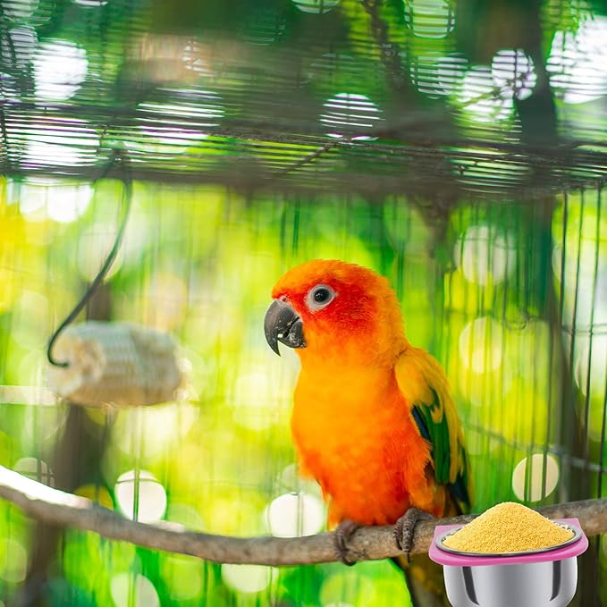 balacoo 1set Portable Parrot Food Cup Lightweight Feeder for Birds Multi-Functional Bowl for Eating Drinking for Parrots Pets Relief Tub