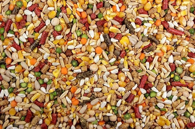 Chicken Feed, Whole Ingredient Chicken Treat, Wied Variety of Grains Poultry Feed (20 Pound (Pack of 1), High-Octain (High Protein) with Cracked Corn)