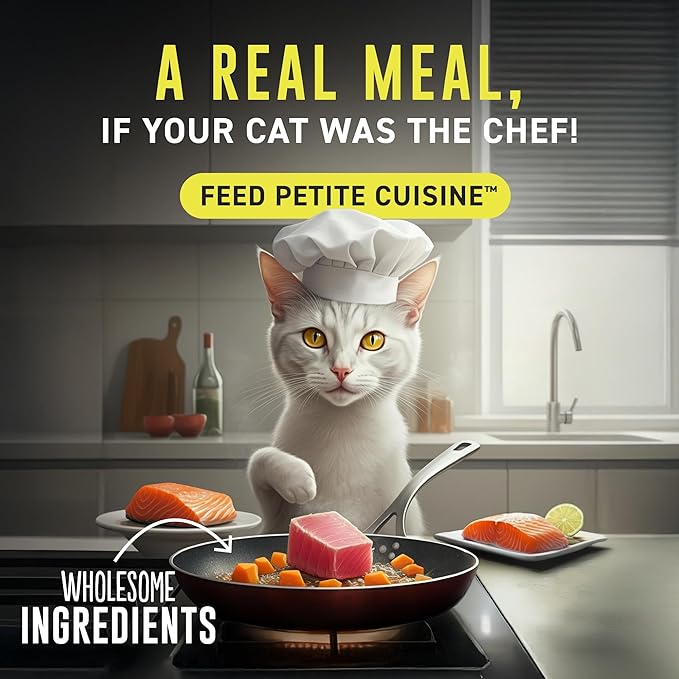 PETITE CUISINE Whole Foods Wet Cat Food, Chicken & Pumpkin Entree in Broth, 2.8 oz. Can (24 Count)