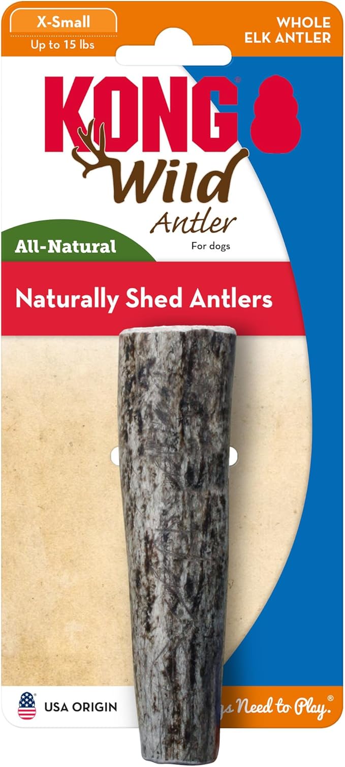 KONG Antlers for Dogs – 2 Pack of Naturally Shed Elk Antlers, 100% All-Natural & Sustainable Chews, Long-Lasting, Cleans Teeth, Freshens Breath (X-Small)