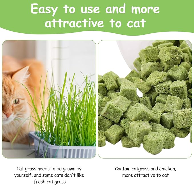 60g Cat Grass Treats for Indoor Cats, Freezed Dried Cat Grass Teething Stick Snacks for Cats, Edible Feline Chew Toys for Hairball Control and Oral Health