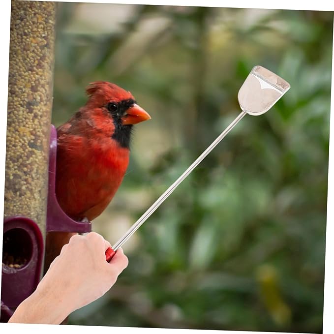 BESPORTBLE 2pcs Bird Cage Cleaning Brush Set Small Cleaning Brush Droppings Shovel for Efficient Bird Cage Maintenance for Small Animal Cages Household Cleaning Tools