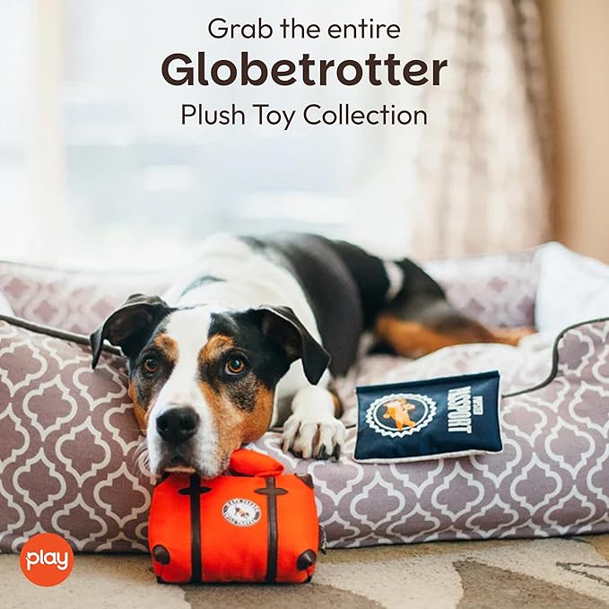 P.L.A.Y. PY7048ESF Plush Toy for Dogs and Cats Passport