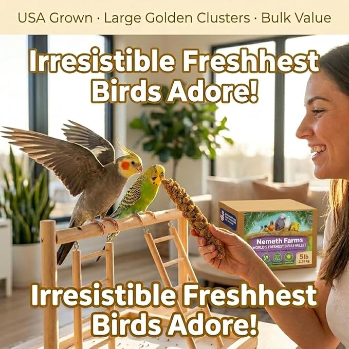 USA Grown Spray Millet for Birds – Midwest Harvest, 5 lbs Premium 100% Natural, Sun-Dried Non-GMO Whole Millet Sprays, Bird Treat for Parakeets, Budgies, Cockatiels, Conures, Lovebirds & Finches