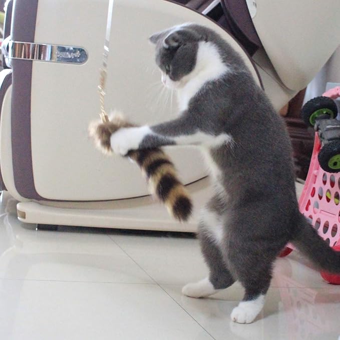 Fosrion Real Raccoon Tail Fur Dog Bites Toy with Three Section Retractable Carbon Fiber Rod (Raccoon Tail)