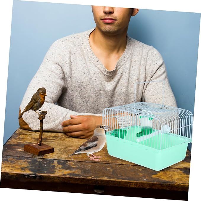 Healifty Portable Bird Cage with Perch Food Box Water Bottle Spacious Metal Travel Carrier for Small Birds Parrots Lovebirds and Multiple Small Animals Comfortable Movement Random Color