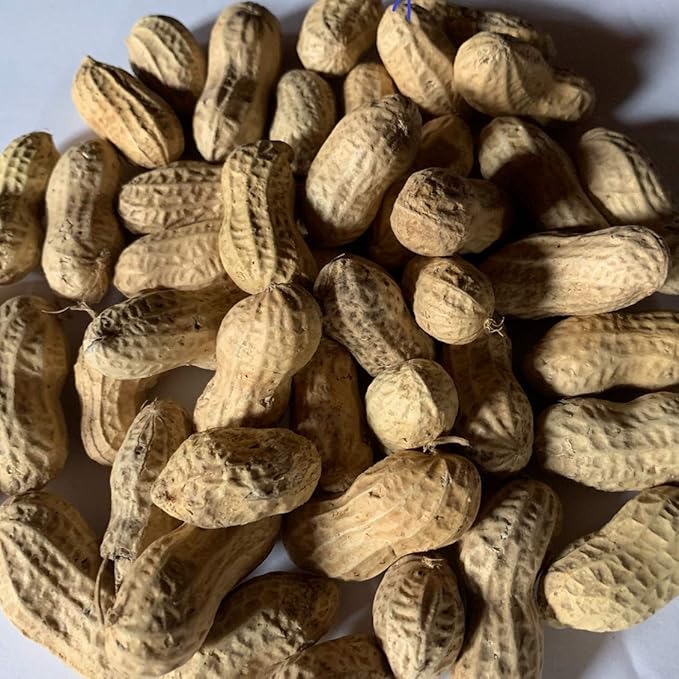 Peanuts (in-the-Shell) Bird Feed (4 lb)