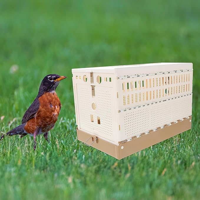 Mobestech Foldable Plastic Pigeon Cage Compact Nest Box for Training and Release Easy Assembly and Space-Saving Pet Accessory for Pigeons Rabbits Kittens and Puppies