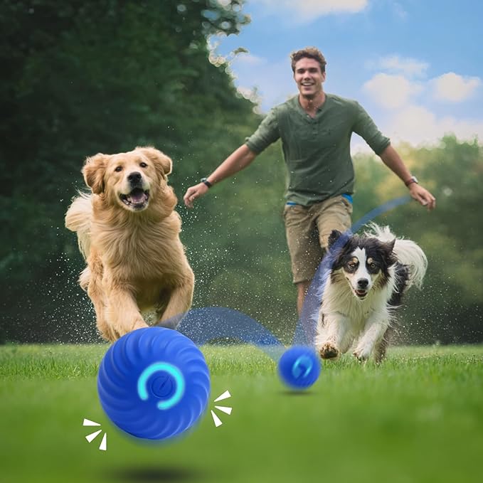 2Pcs Interactive Dog Ball Toys,Smart Small Medium Dog Toys to Keep Them Busy with 3 Cover, Automatic Rolling and Jumping Pet Balls Ball for Dogs,Pet Interactive Toy Balls.Not for Aggressive Chewers.