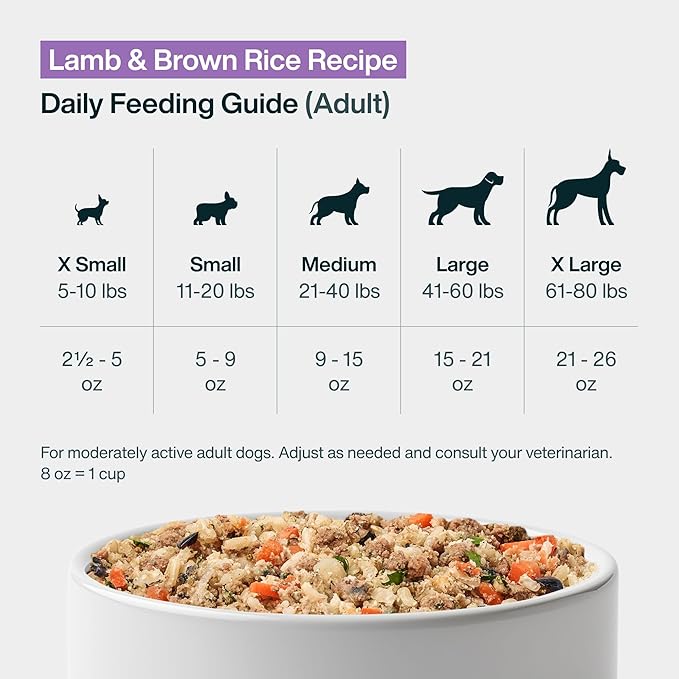 JustFoodForDogs Pantry Fresh Wet Dog Food, Complete Meal or Dog Food Topper, Lamb & Brown Rice Human Grade Dog Food Recipe - 12.5 oz (Pack of 12)