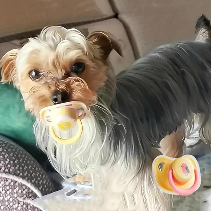 Cats Dog Soft Silicone Pacifier Small Pet Pacifier Chew Toy Pet Chew Toy Animal Accessories Decoration (Combination)