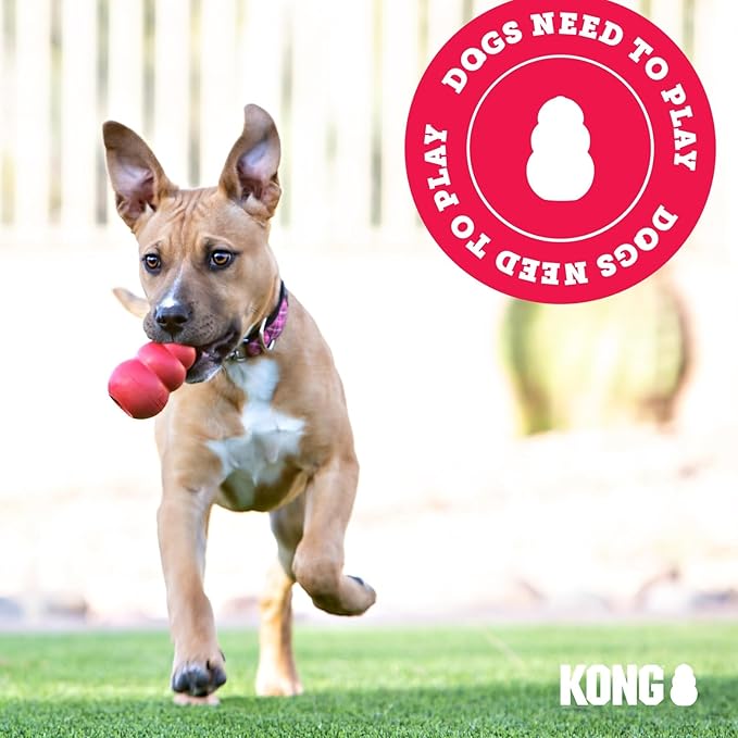 KONG Extreme Ball with Hole - Fetch Toy - Durable Dog Toy for Training, Interactive Playtime & More - Natural Extreme Rubber Ball - Black - for Large/Medium Dogs