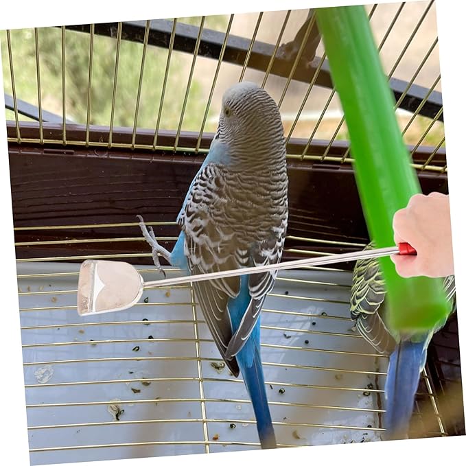 UPKOCH 2pcs Bird Cage Cleaning Brush Set Droppings Shovel Cleaning Brush for Efficient Pet Bird Cage Maintenance Essential Tool for Small and