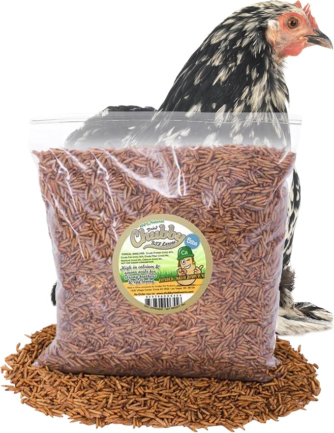 Chubby Dried Black Soldier Fly Larvae | 5 lbs | Non-GMO High-Protein Insect Treat for Chickens, Ducks & Wild Birds – Calcium-Rich Chicken Feed