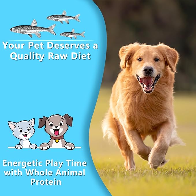 Minnows Dog Treats, Single Ingredient Dried Minnows for Dogs & Cats, Air Dried, Grain-Free, High-Protein, 100% Natural Premium Cat & Dog Treats 4.5 oz