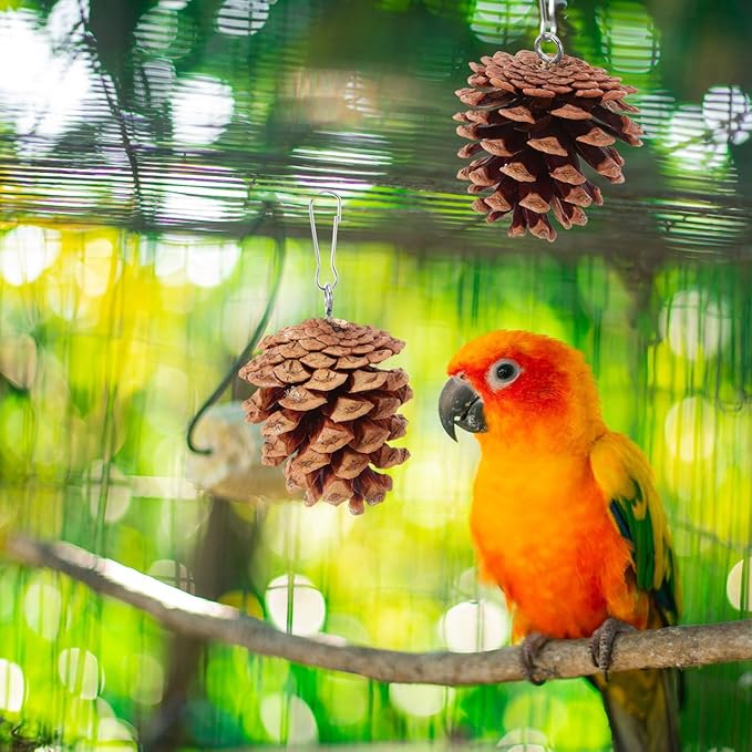POPETPOP Hanging Parrot Chewing Toy Natural Pine Cone Bird Cage Toy for Foraging and Beak Exercise Durable Bite-Resistant Plaything for Parakeets Cockatiels Conures