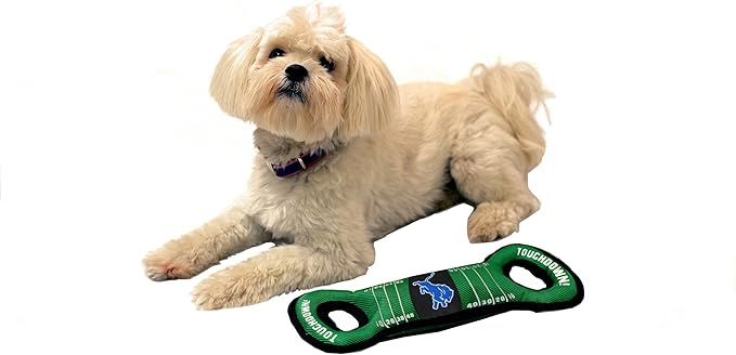 NFL Football Field DOG TOY with Squeaker. - DETROIT LIONS - For Tug, Toss, and Fetch. - Tough & Durable PET TOY
